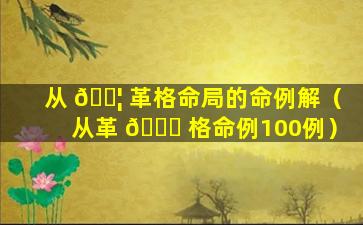 从 🐦 革格命局的命例解（从革 🐝 格命例100例）